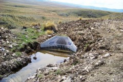 EUROFLO in high country