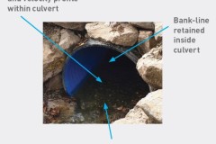 Fish-Passage-Checklist
